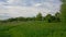 Grass path through a lush green meadow and forest in Bourgoyen nature reserve, Ghent