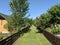 Grass pathway among community gardens with trees and wooden fences