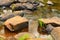 Grass and picturesque stones in clear water. The concept of cleanliness.