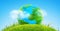 Grass planet Earth on natural background, ecology and environment concept