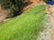 The grass is planted to prevent erosion of the soil slope.