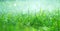 Grass with rain drops. Watering lawn. Rain. Blurred Grass Background With Water Drops closeup. Landscaping