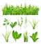 Grass realistic. Ecology set green herbs leaves plants lifes meadows vector elements collection