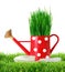 Grass in red polka dot watering can and shovel in green grass