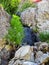 Grass on Rocks Near a Mountain Brook