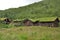 Grass roof houses.