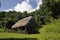 Grass roofed hut