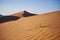 Grass on sand dune