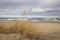 Grass sand dune beach sea view, Baltic Sea