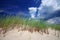 Grass on sand dunes on Baltic Sea beach, Latvia, Ventspils