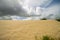 Grass and sand dunes with dutch clouds en sky dutchlight sun