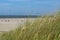 Grass on sand dunes on North Sea near Renesse, Zeeland, Netherlands