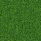 Grass seamless realistic texture. Green lawn, field or meadow vector background. Summer or spring nature illustration