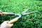 Grass shears with wooden handle on Hokkien tea fence by asian woman hands