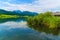 Grass on shore of Idyllic Weissensee lake in summer, Carinthia land, Austria