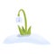 Grass snowdrop icon cartoon vector. Spring flower