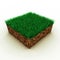 Grass on soil