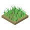 Grass soil land icon, isometric style