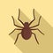 Grass spider icon, flat style