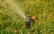 Grass sprinkler