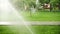 Grass sprinkler on meadow