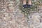 Grass Stone Floor texture pavement design and woman`s feet in green area