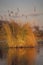 Grass at sunset, Okavango delta, Botswana