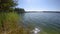 Grass sways in the wind on a blue lake