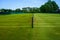 The grass tennis court