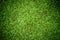 Grass Texture