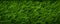 Grass texture close up for web design and backgrounds