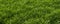 Grass texture close up for web design and backgrounds