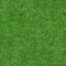 Grass Texture - Seamless