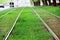 Grass on tram tracks in spring