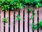 Grass and tree branches on brown lath wall background