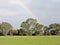 Grass with trees and rainbow in the background