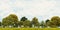 Grass and trees view Cloudy skies Wide angle landscape 3d illustration