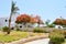 Grass, vegetation, Delonix royal tree with red blooming flowers, palm tree with green leaves in a tropical resort against a blue s