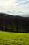 Grass, woods, mountain, sky