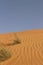 Grasses Amid Sand Ripples in Wahiba Sands, Oman