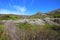 Grasses and fynbos with wispy clouds