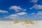 Grasses growing on vast beach