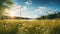 Grasses near the lake in the forest in summer, wide angle, landscape, copy space