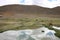 A grassfield in the mountains with a paramo ecosystem and many lamas grazing next to a small pond