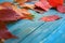 Grasshopper in colorful autumn leaves