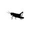 Grasshopper icon logo insect template