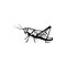 Grasshopper icon logo insect template