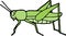 Grasshopper illustration design on white