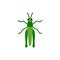 Grasshopper insect cricket single flat vector icon