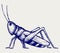 Grasshopper insect. Doodle style